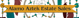 Alamo Aztek Estate Sales Logo