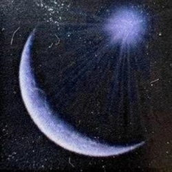 Moon Estate Sales Logo