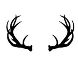 Antler Estate &amp; Liquidation Sales