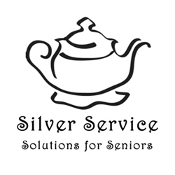 Silver Service LLC