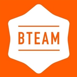 B-team Liquidations Logo