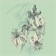 Misty Lillie Vintage Logo