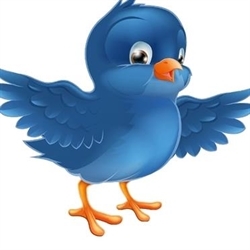 A Blue Bird Logo