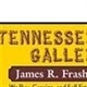 Tennessee Auction Gallery LLC Logo