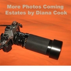 Estates & Auctions by Diana Cook Logo