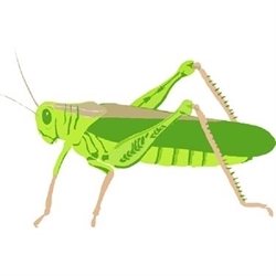 A Golden Grasshopper Logo