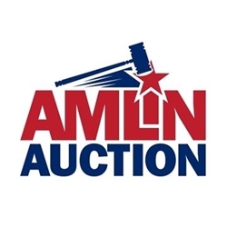 Amlin Auction Service Logo