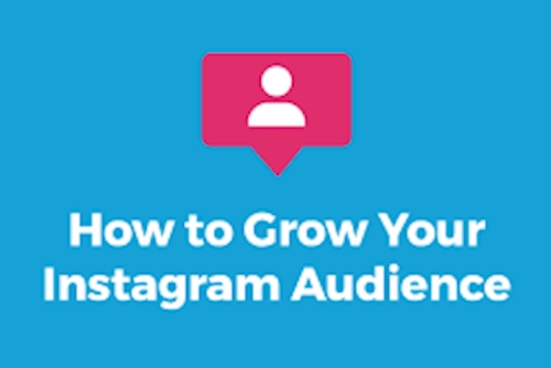 How to Grow Your Instagram Audience